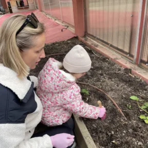 Gardening