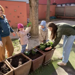Gardening