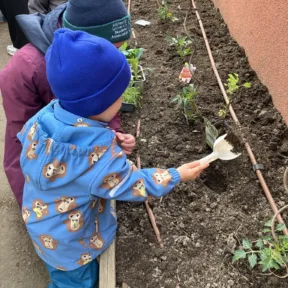 Gardening