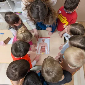 Projekt o ľudskom tele