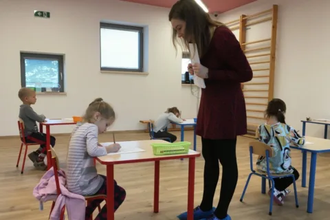 Testovanie školskej zrelosti