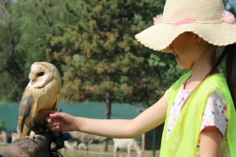 Výlet do ZOO