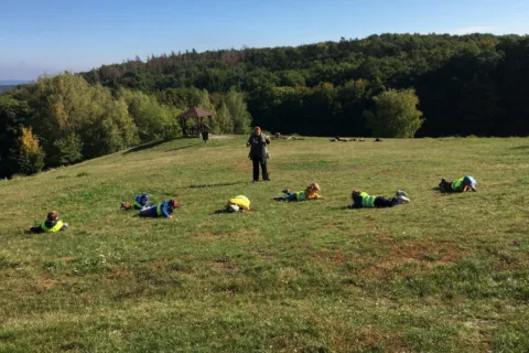 Život v lese