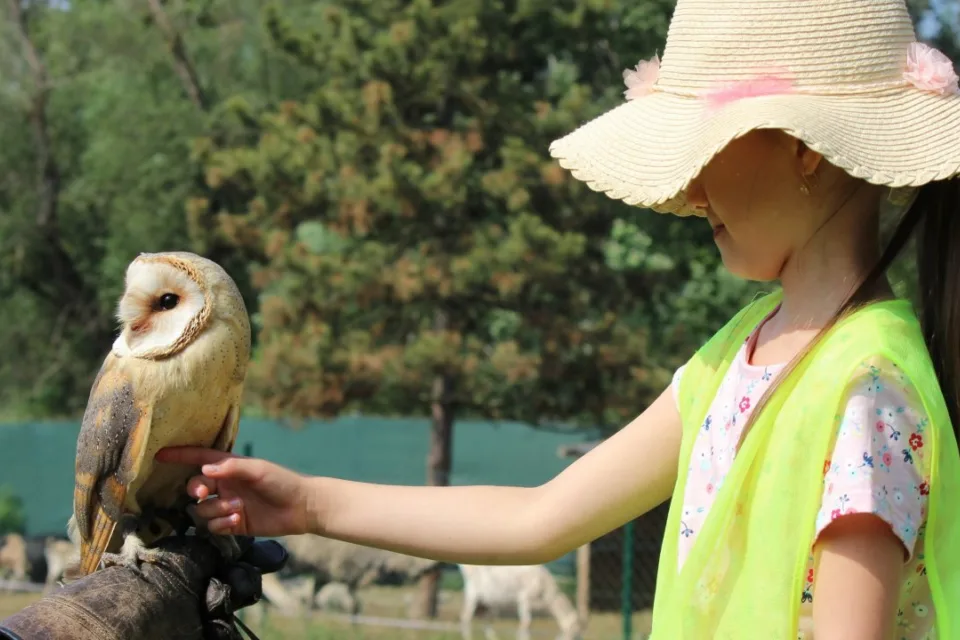 Výlet do ZOO