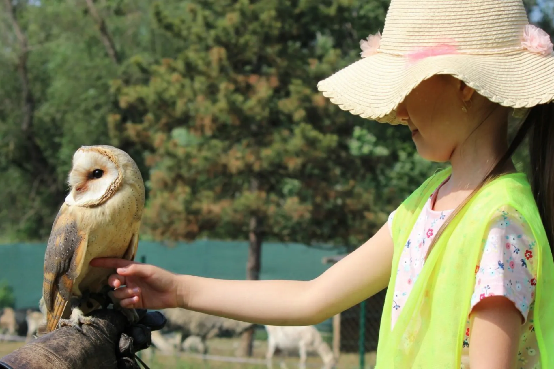 Výlet do ZOO