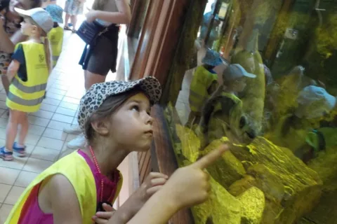 Fantastický výlet do ZOO
