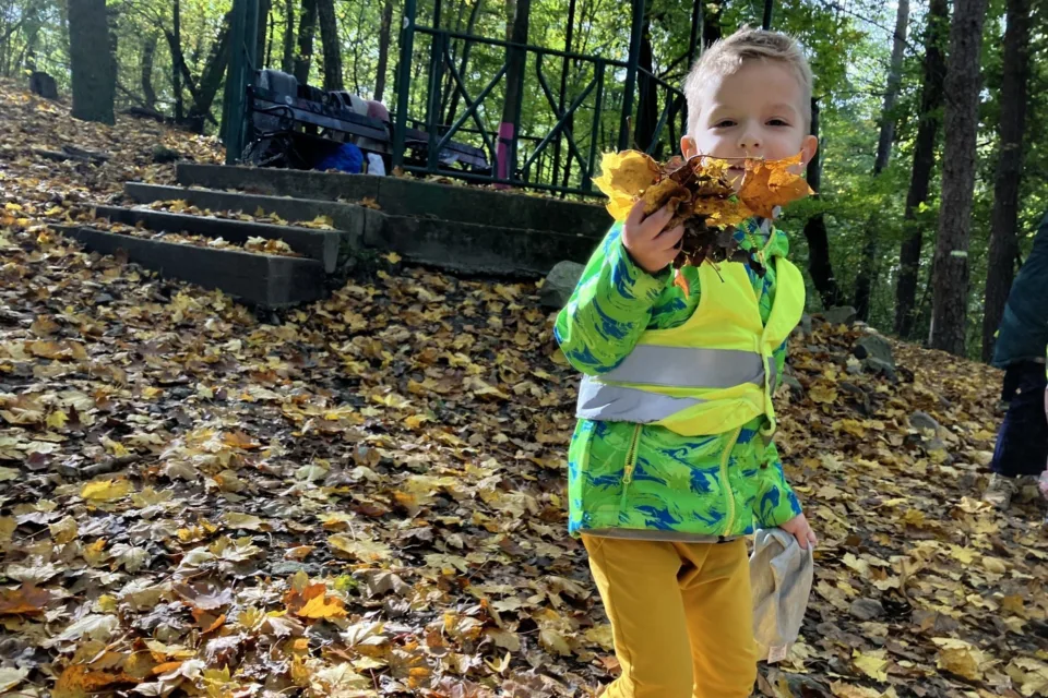 Autumn colours