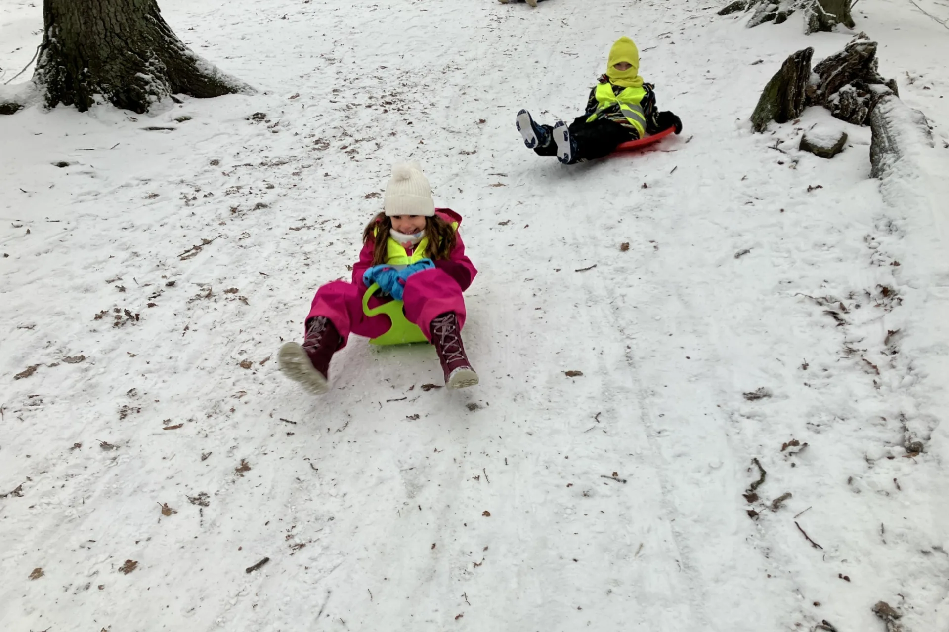 Sledging fun!