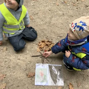 Autumn in the Forest