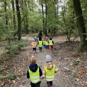 Autumn in the Forest