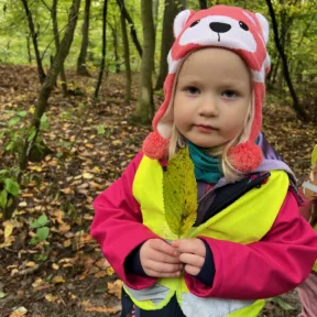 Autumn in the Forest