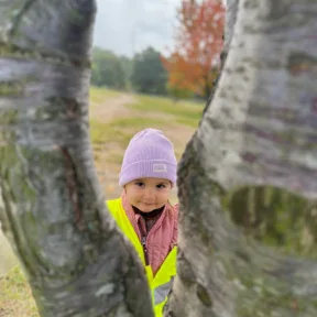 Autumn in the Forest